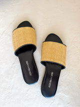Ellie Slides