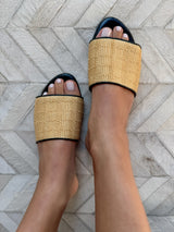 Ellie Slides