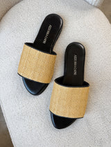 Ellie Slides