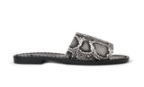 Silvia Slides